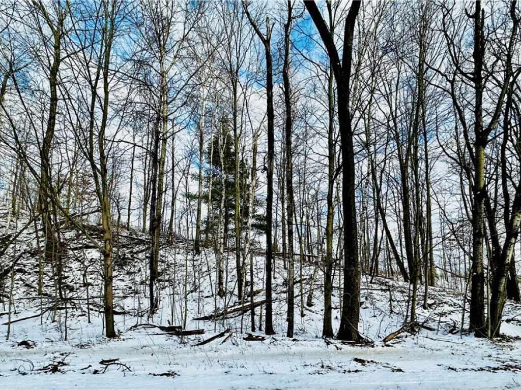 Main Property Photo