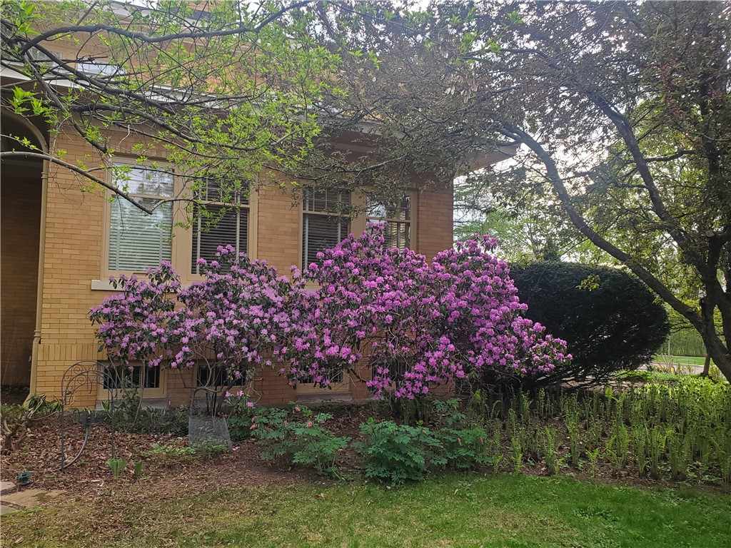 Property Photo 52