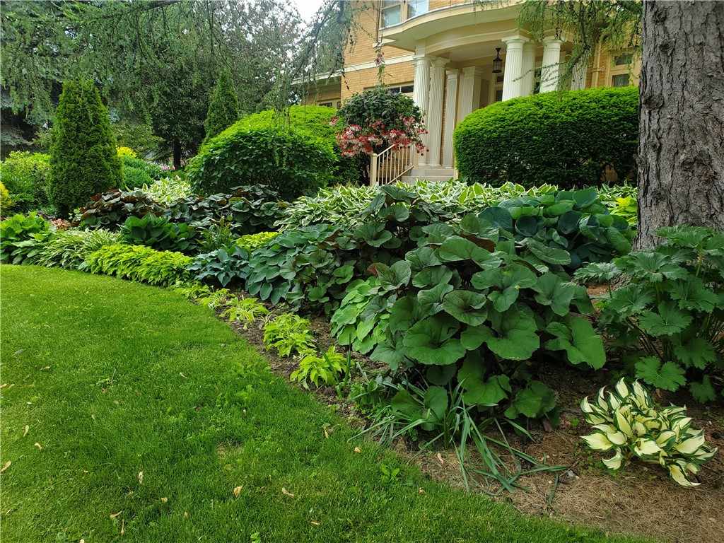 Property Photo 55