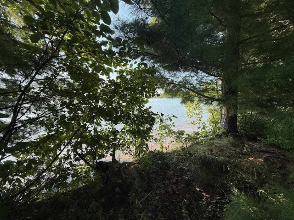 Main Property Photo