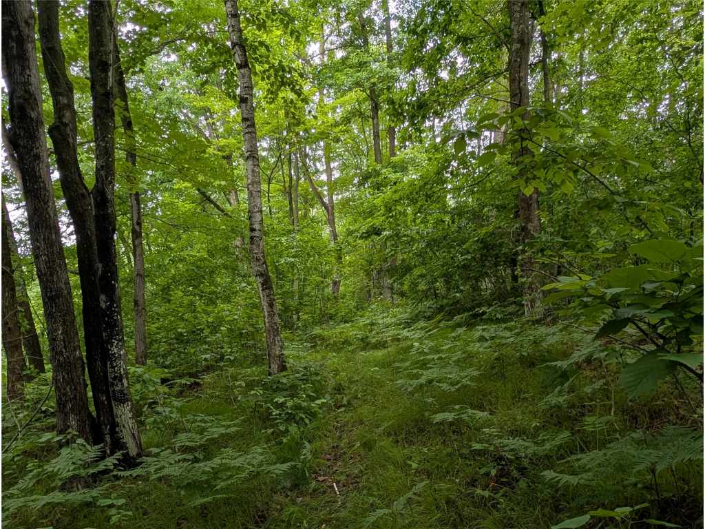 Property Photo 49