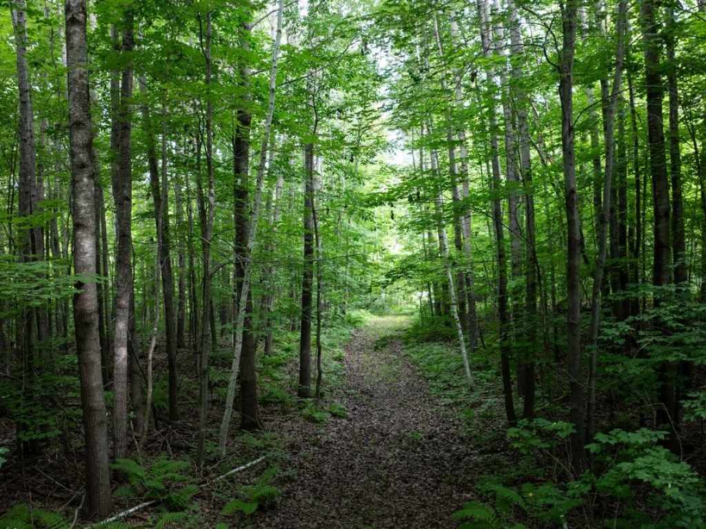 Main Property Photo
