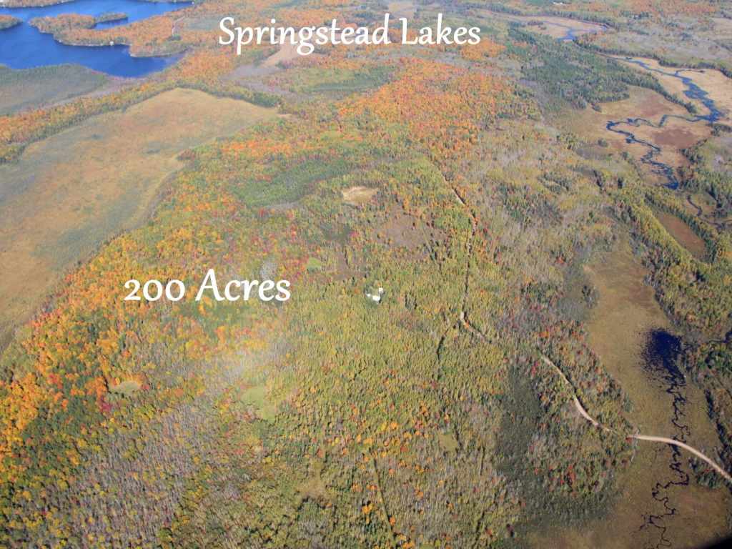 Main Property Photo