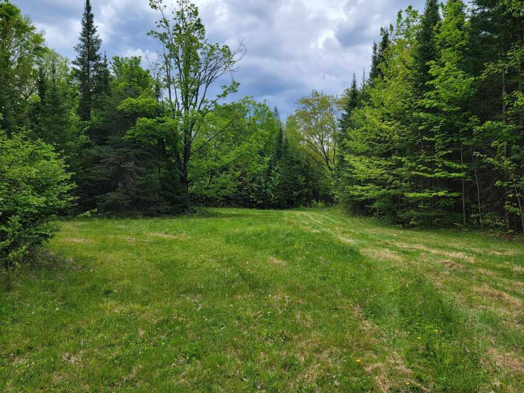 Property Photo 49