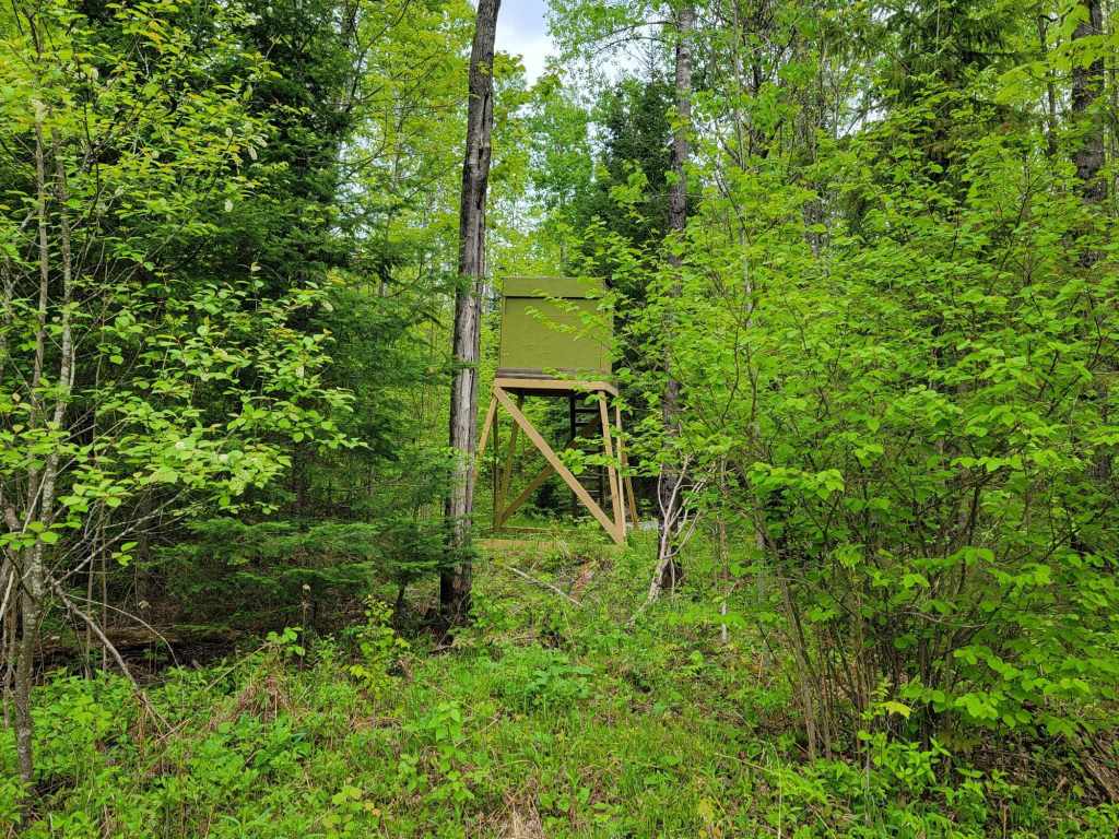 Property Photo 61