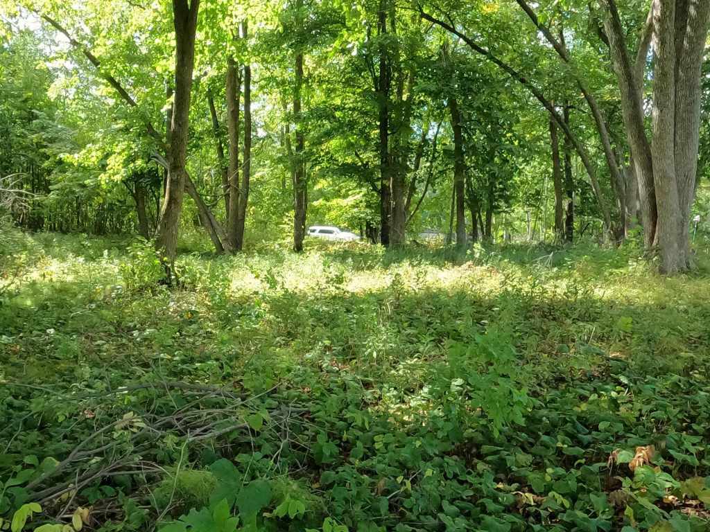 Property Photo 25