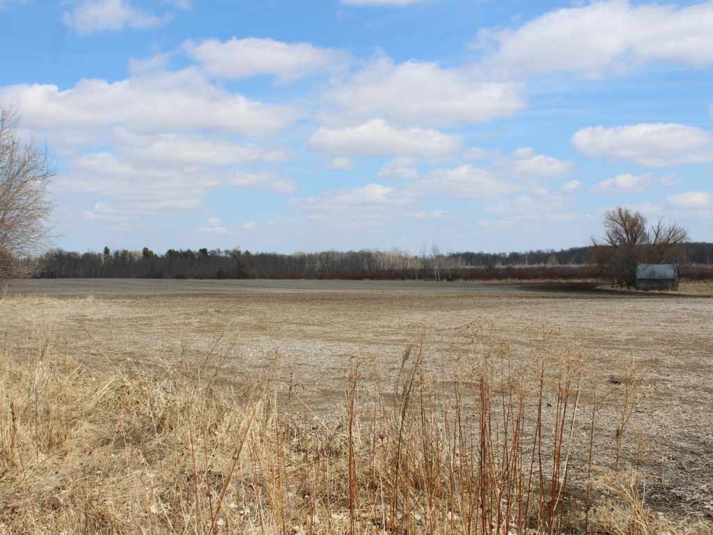 Main Property Photo