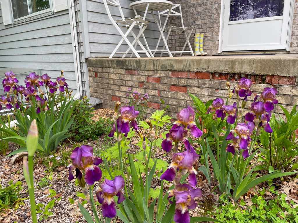 Property Photo 91