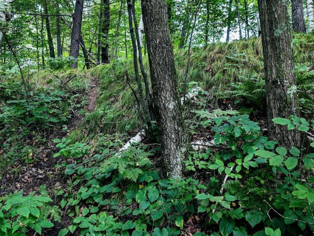 Property Photo 34