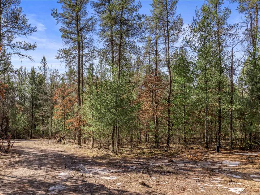 Property Photo 37