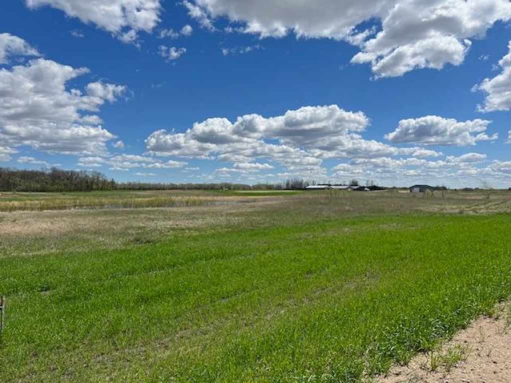 Main Property Photo