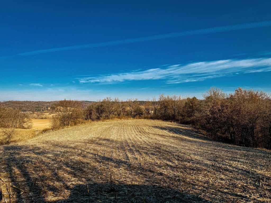 Main Property Photo