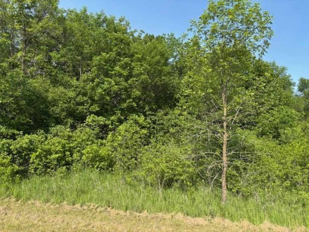 Main Property Photo