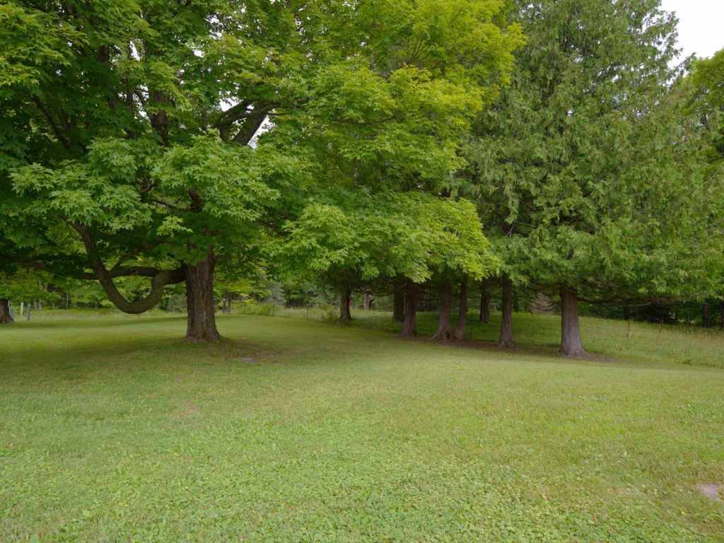 Property Photo 52