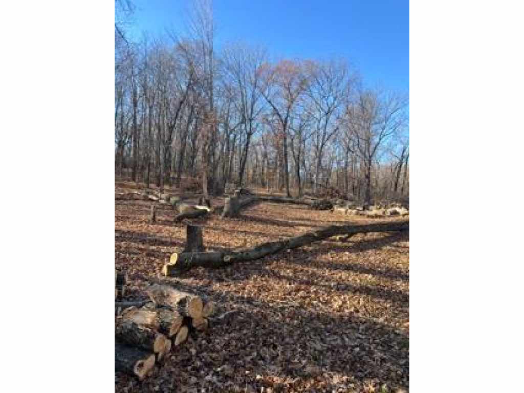 Main Property Photo