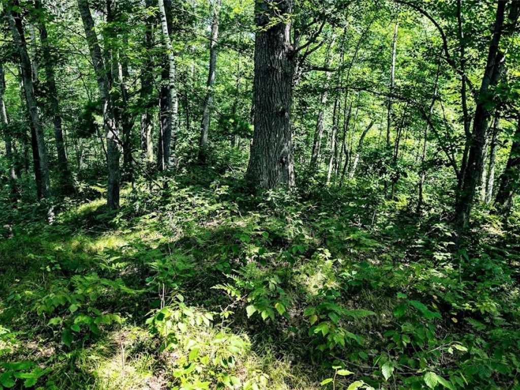 Property Photo 43
