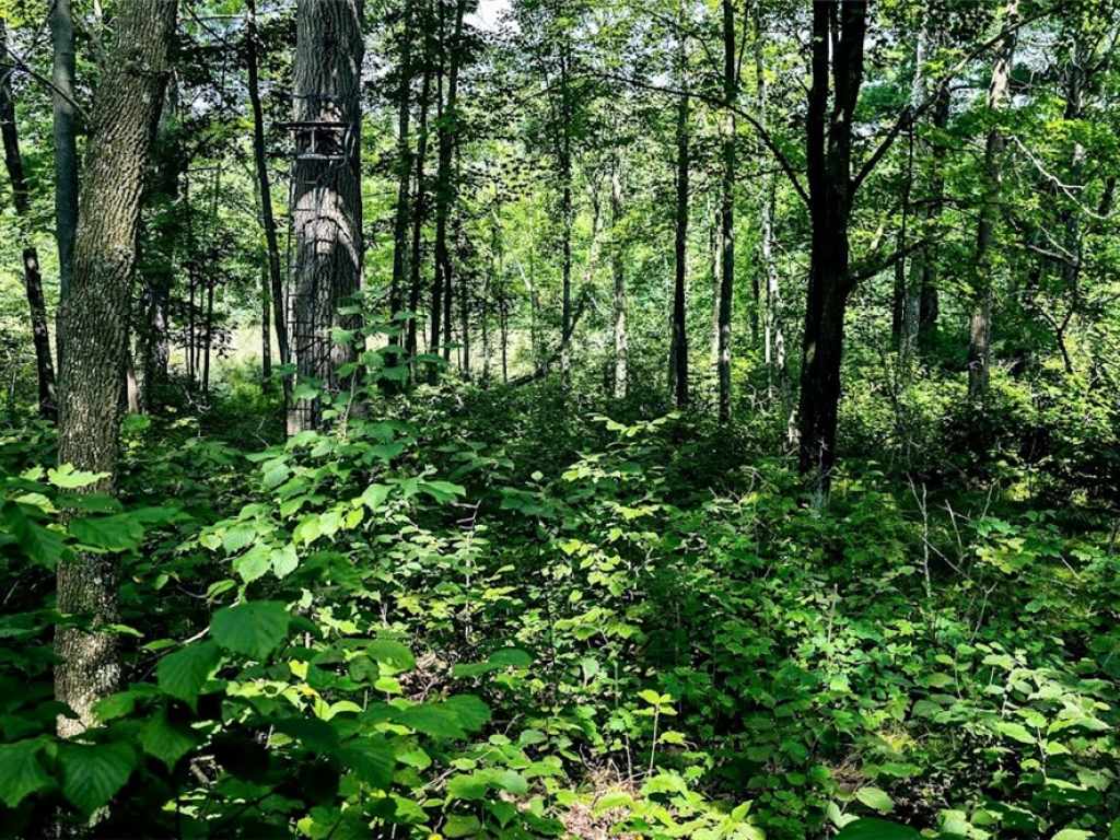 Property Photo 46