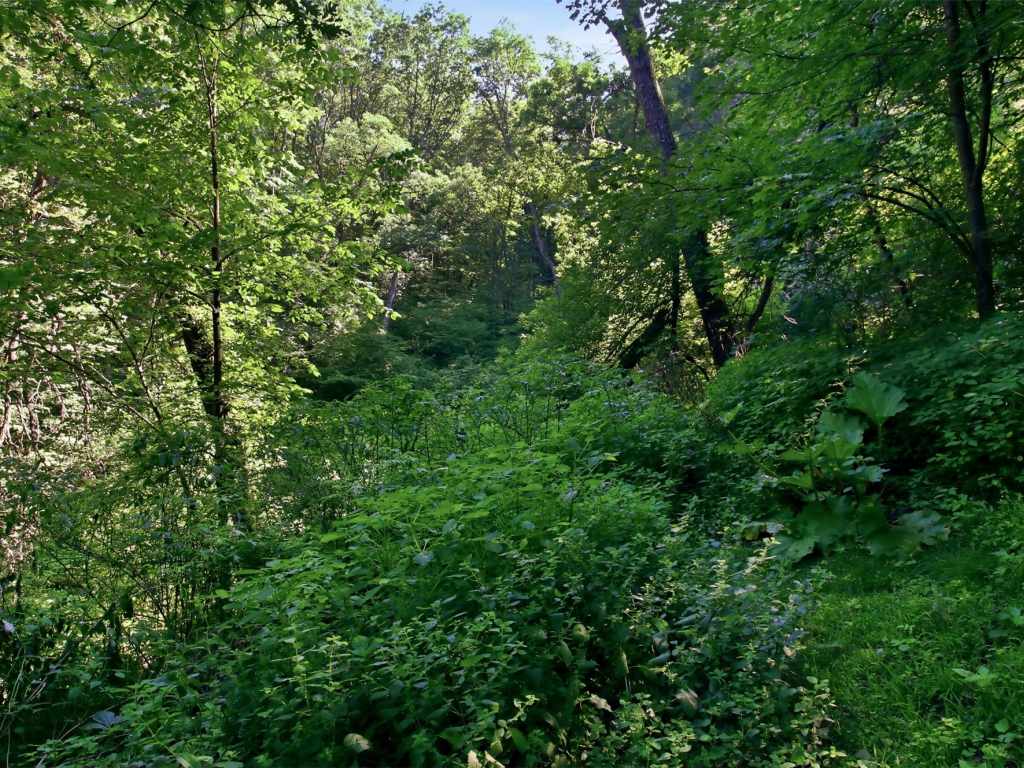 Property Photo 22