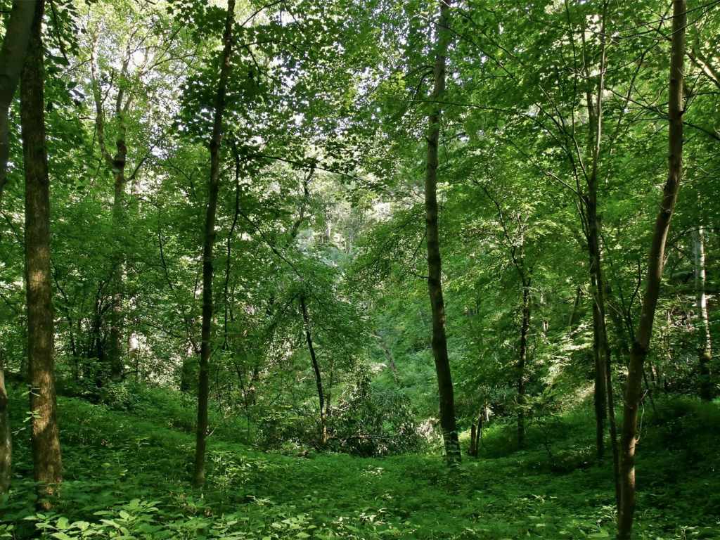 Property Photo 25