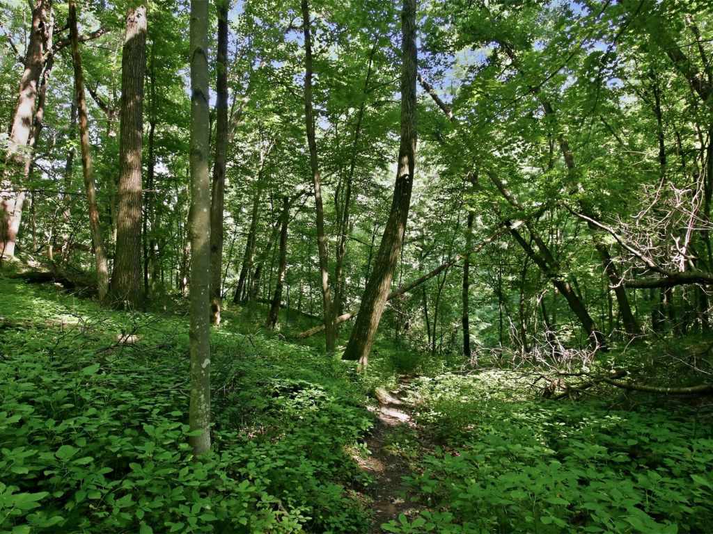 Property Photo 34