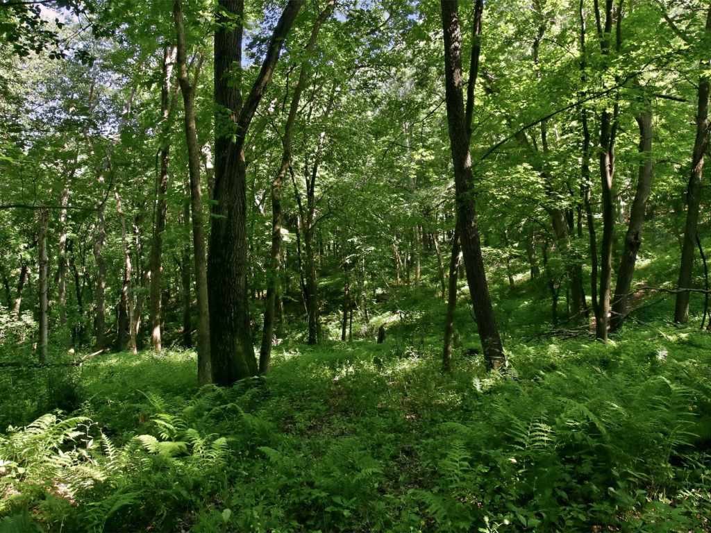 Property Photo 37