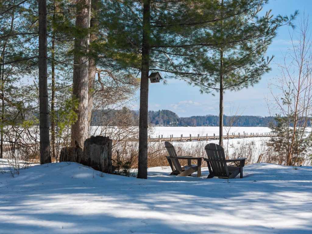 Property Photo 43