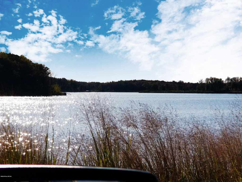Main Property Photo