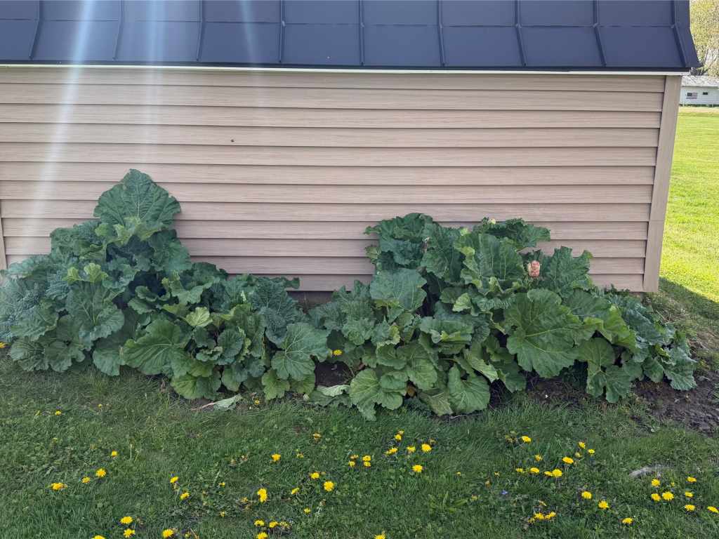 Property Photo 58