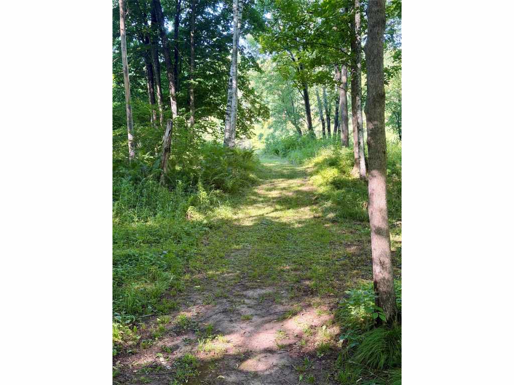 Property Photo 43