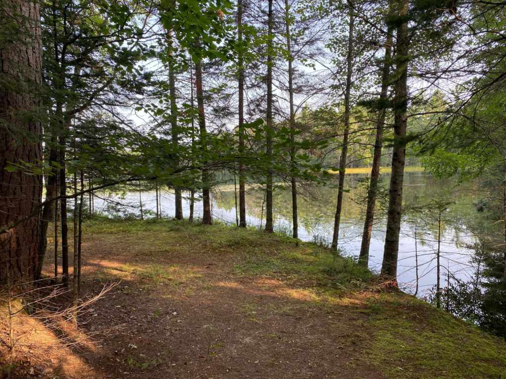Property Photo 46