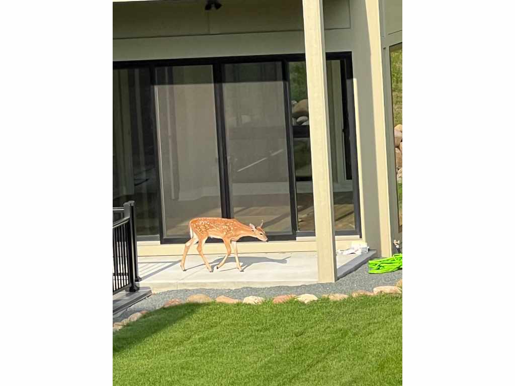 Property Photo 31