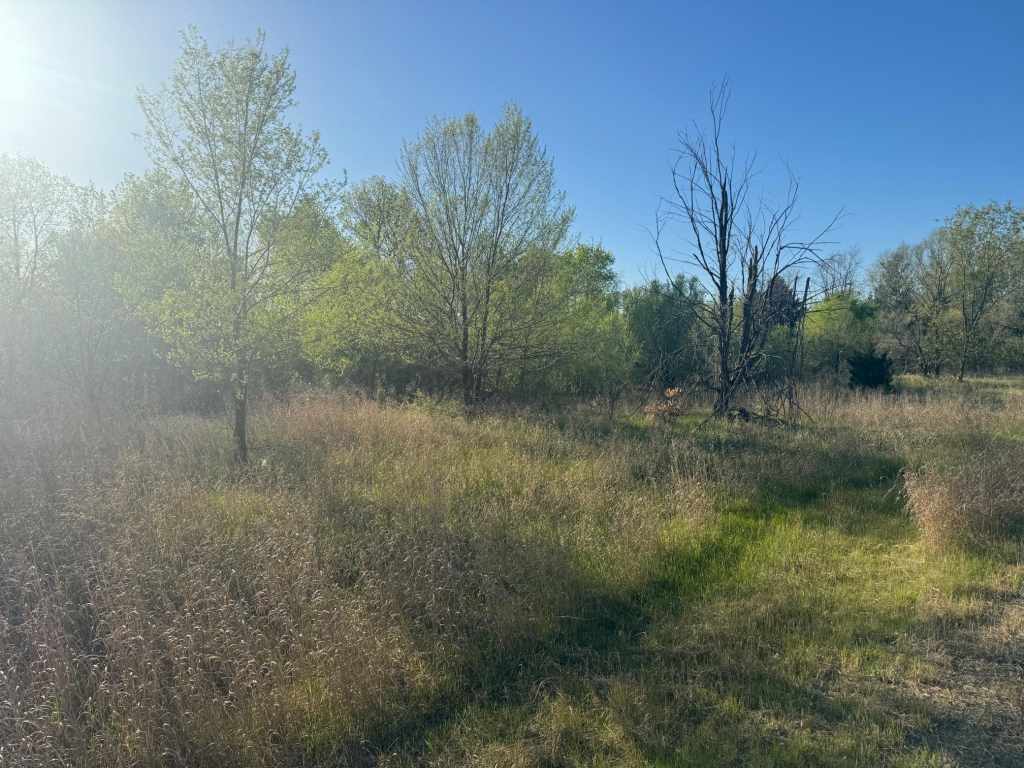 Main Property Photo