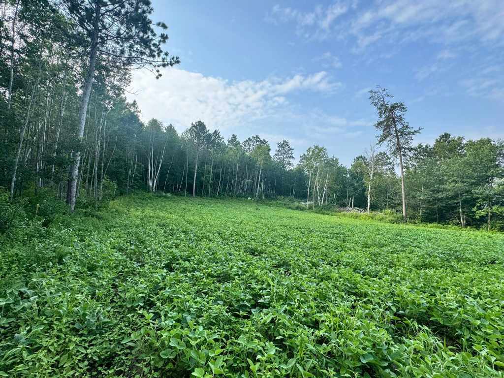 Property Photo 43