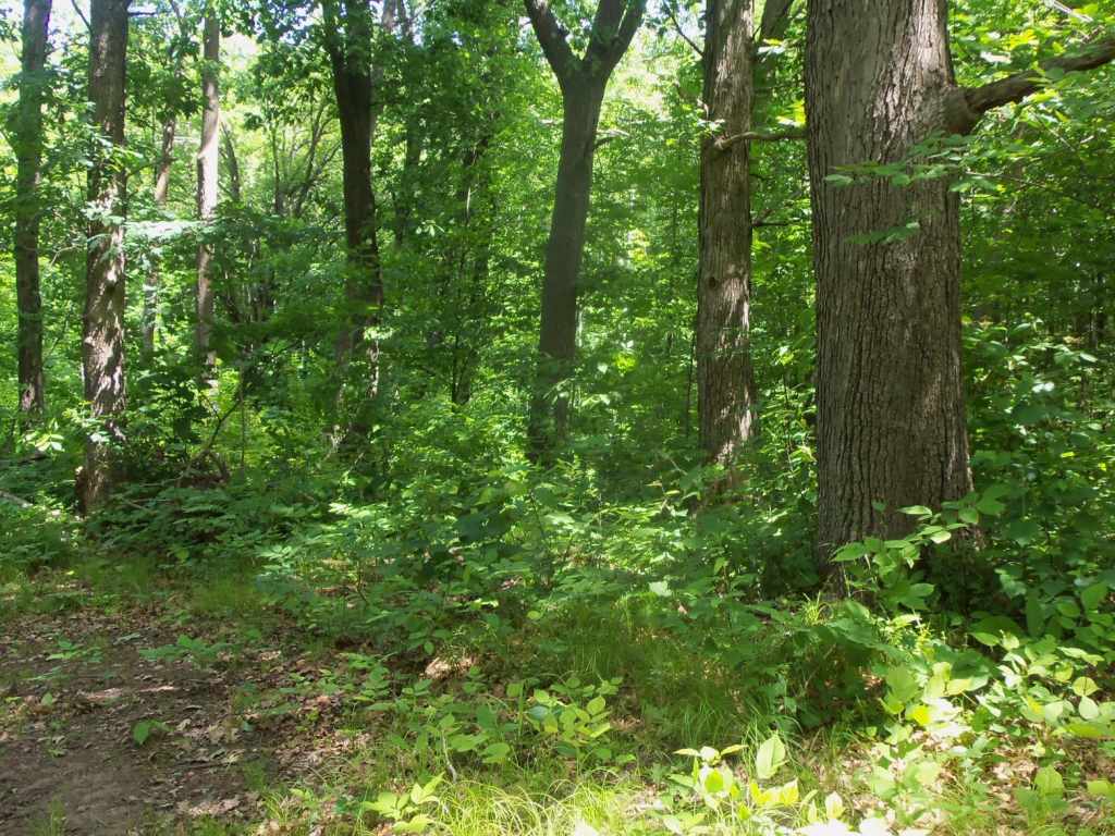 Property Photo 37