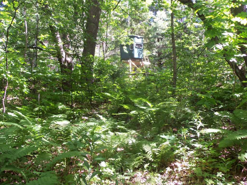 Property Photo 25