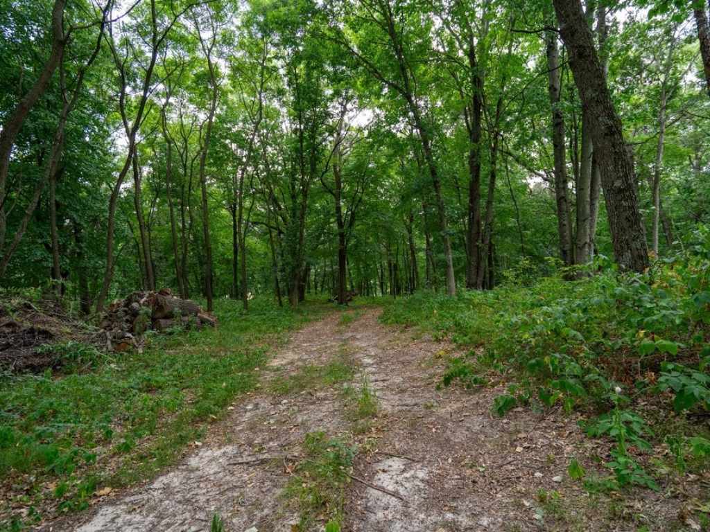 Property Photo 43