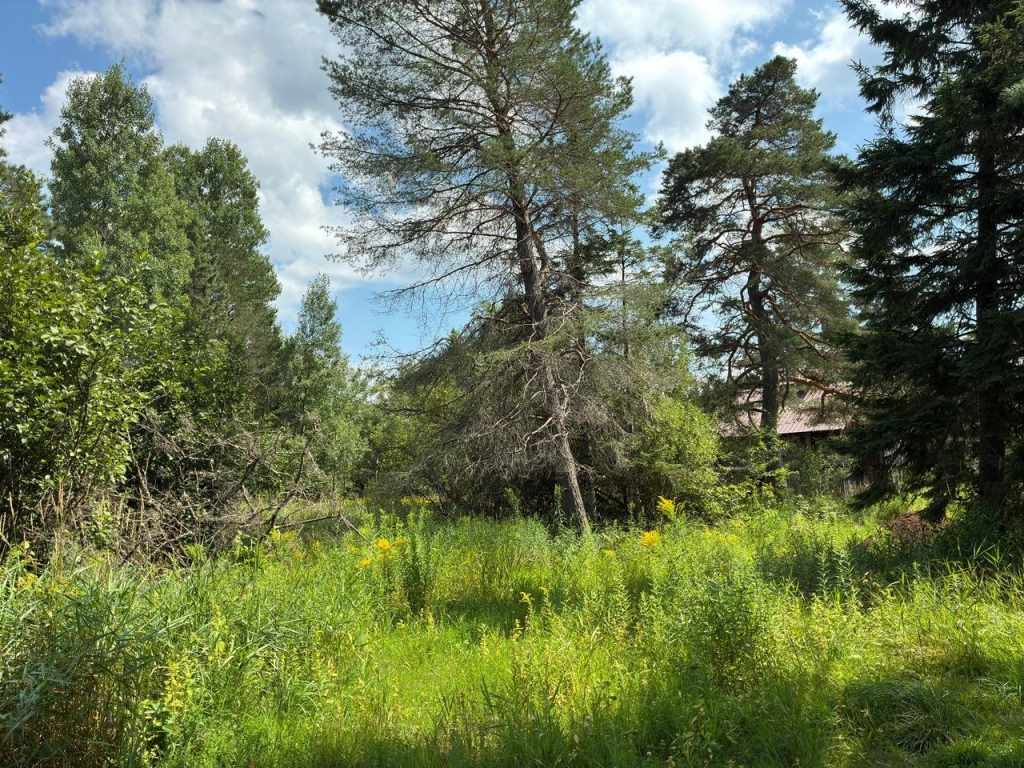 Property Photo 25