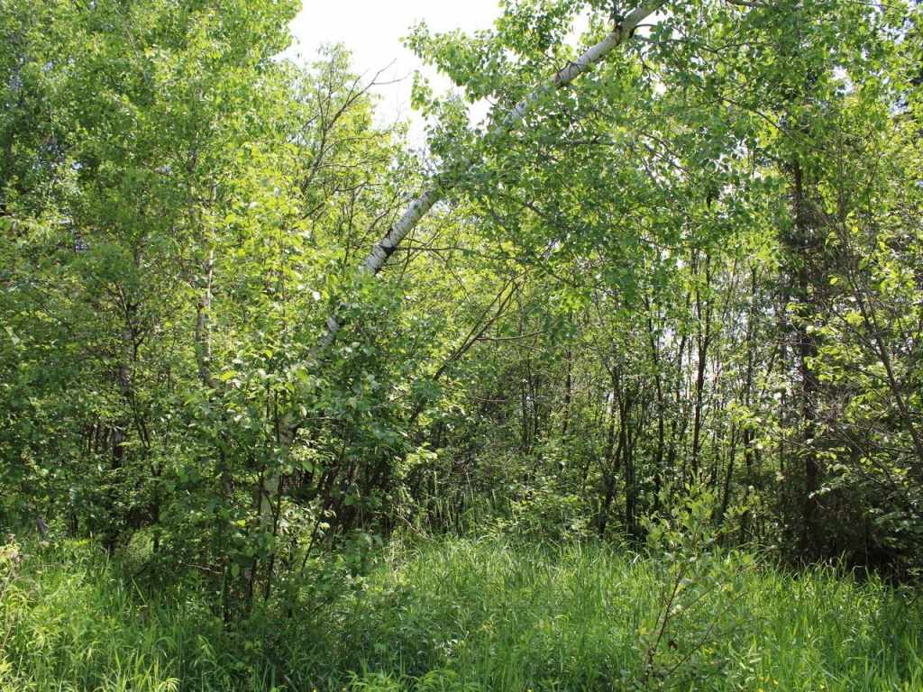 Property Photo 37