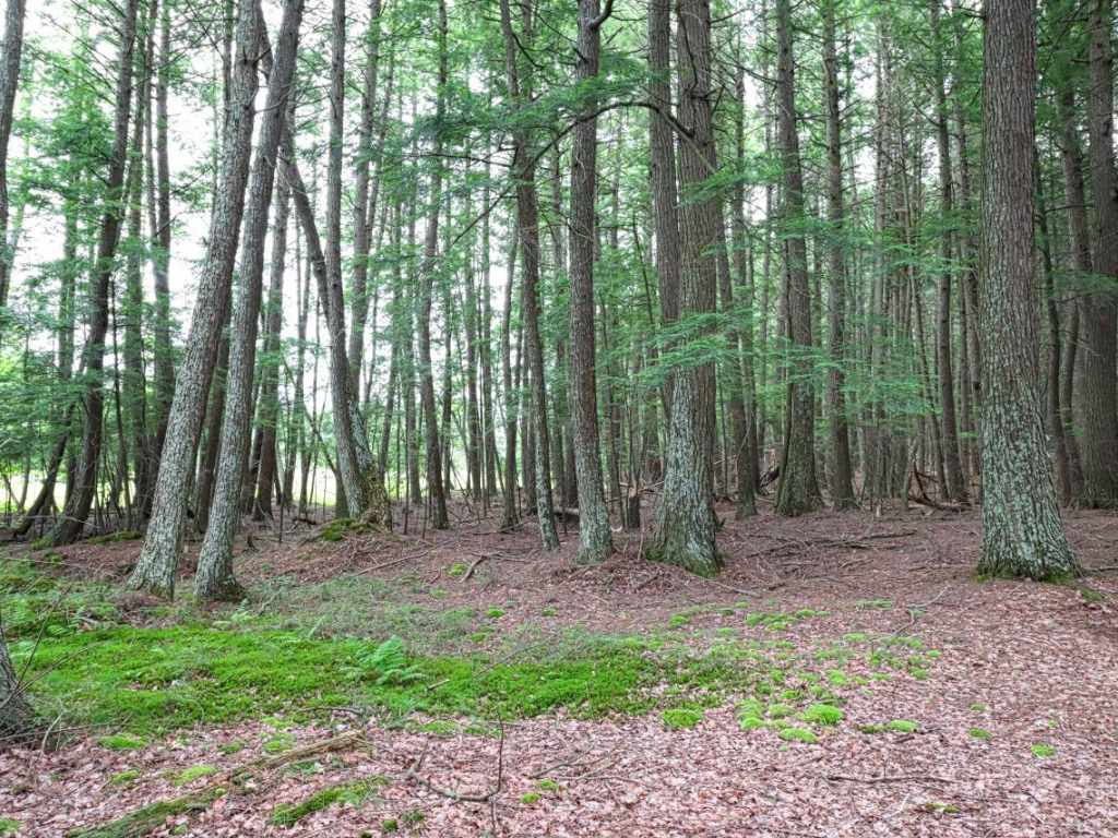 Property Photo 70