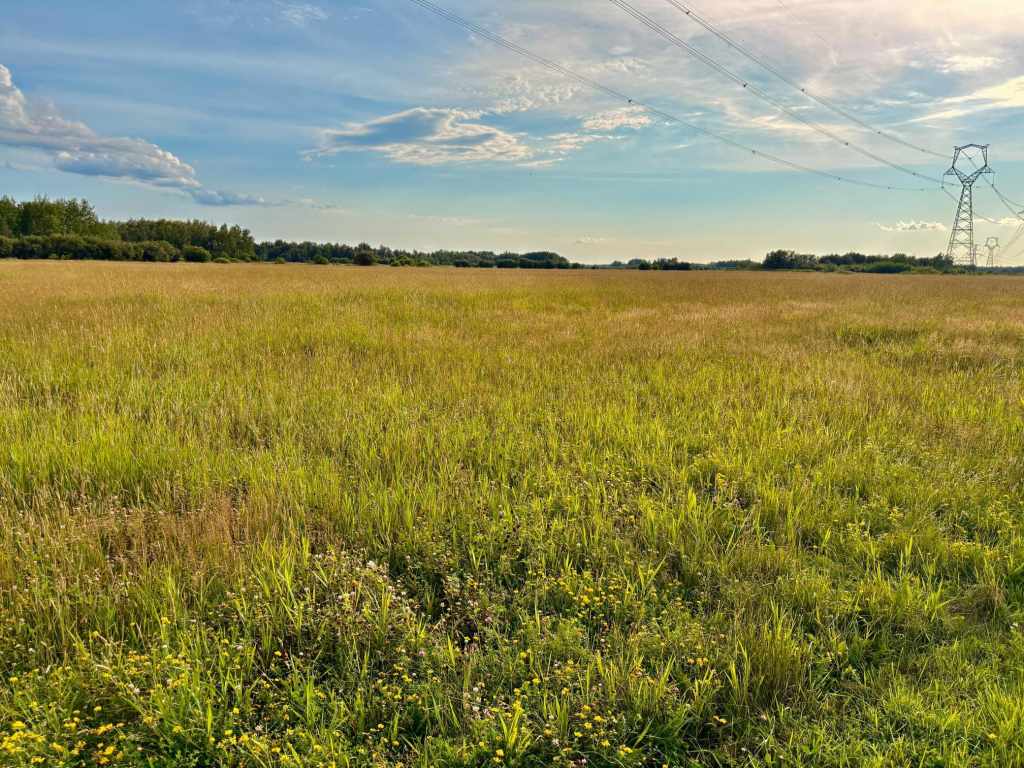 Main Property Photo