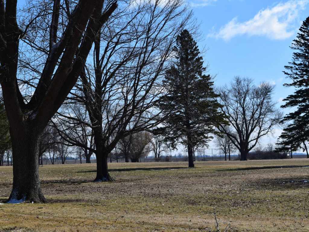 Main Property Photo