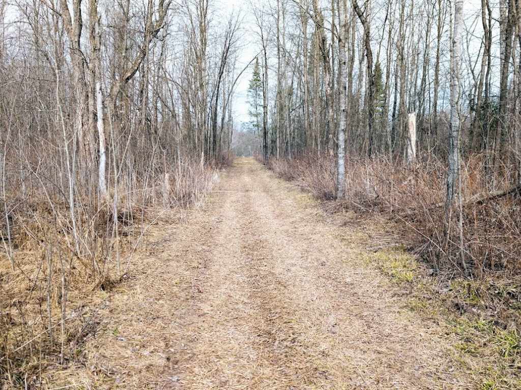 Property Photo 43
