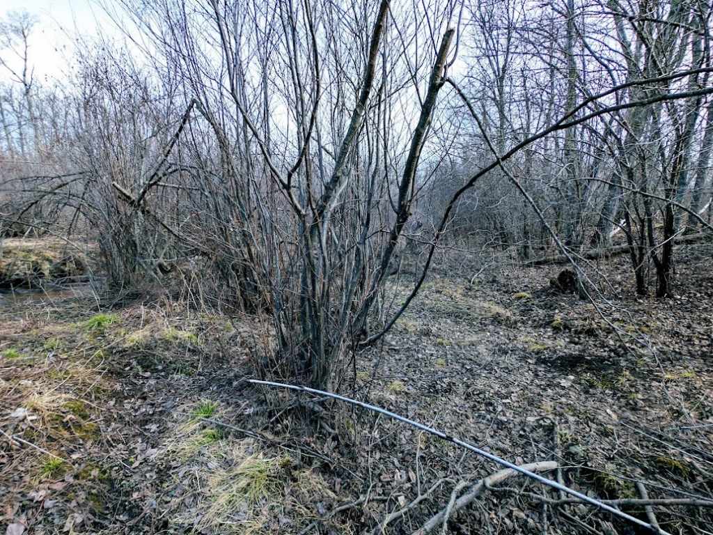 Property Photo 52