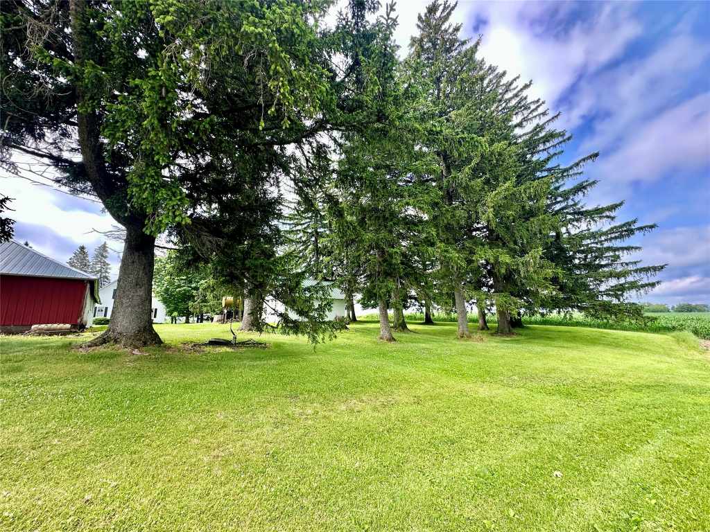 Property Photo 40