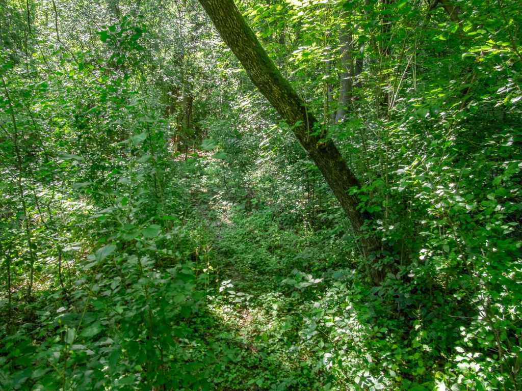 Property Photo 37