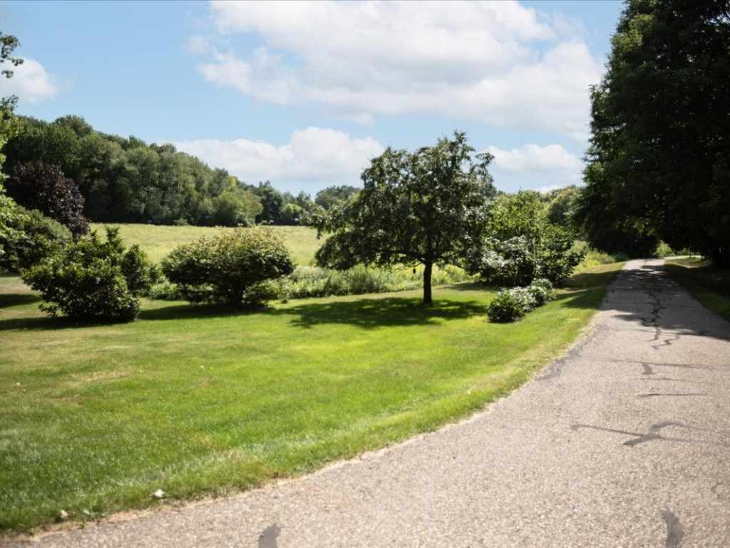 Property Photo 55