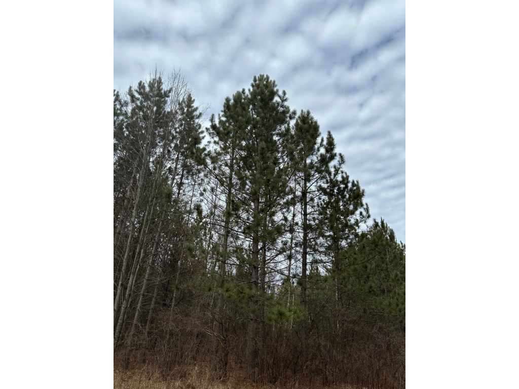 Main Property Photo