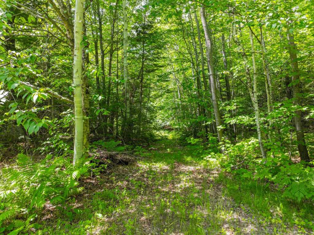 Property Photo 40