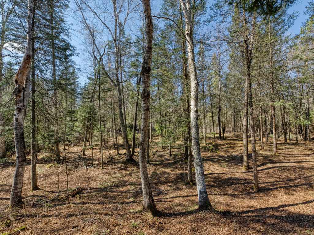 Property Photo 46