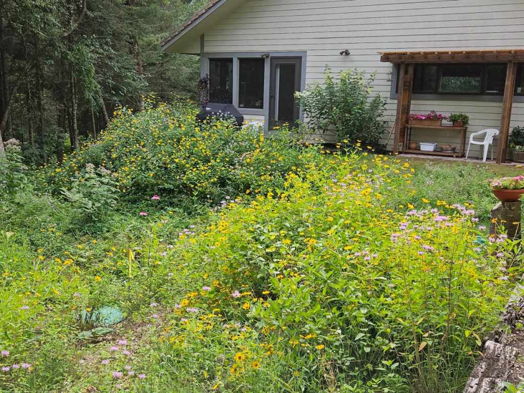 Property Photo 76